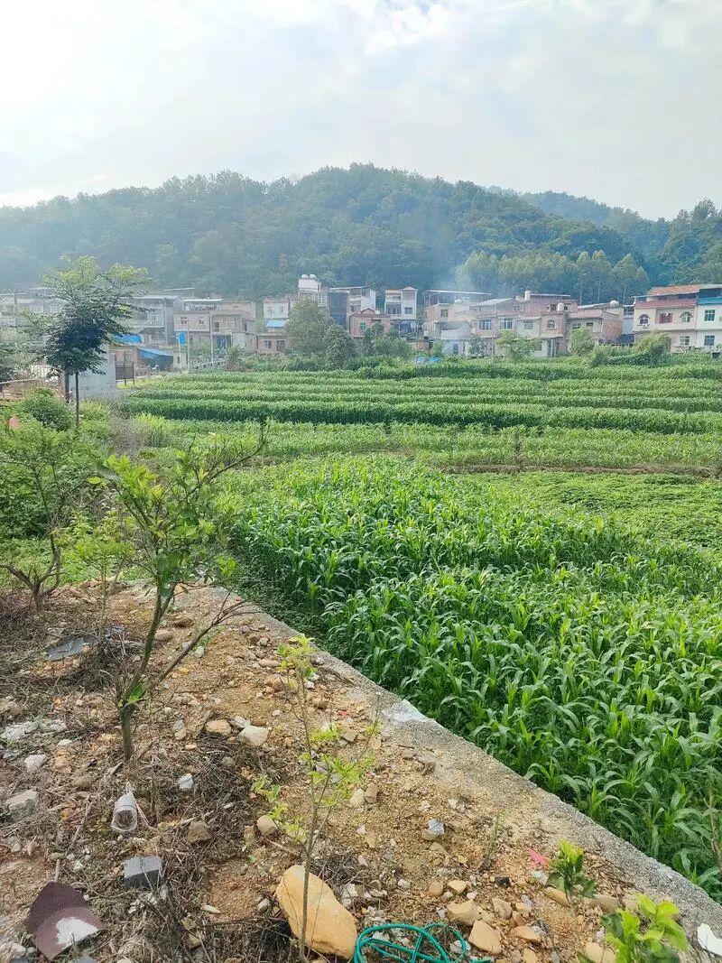 B体育登录入口-下一代都不回农村，还有必要回老家建房吗？说回农村建房人傻的，才是真不懂